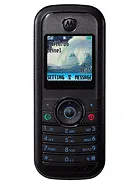 TELEFON KOMÓRKOWY Motorola W205